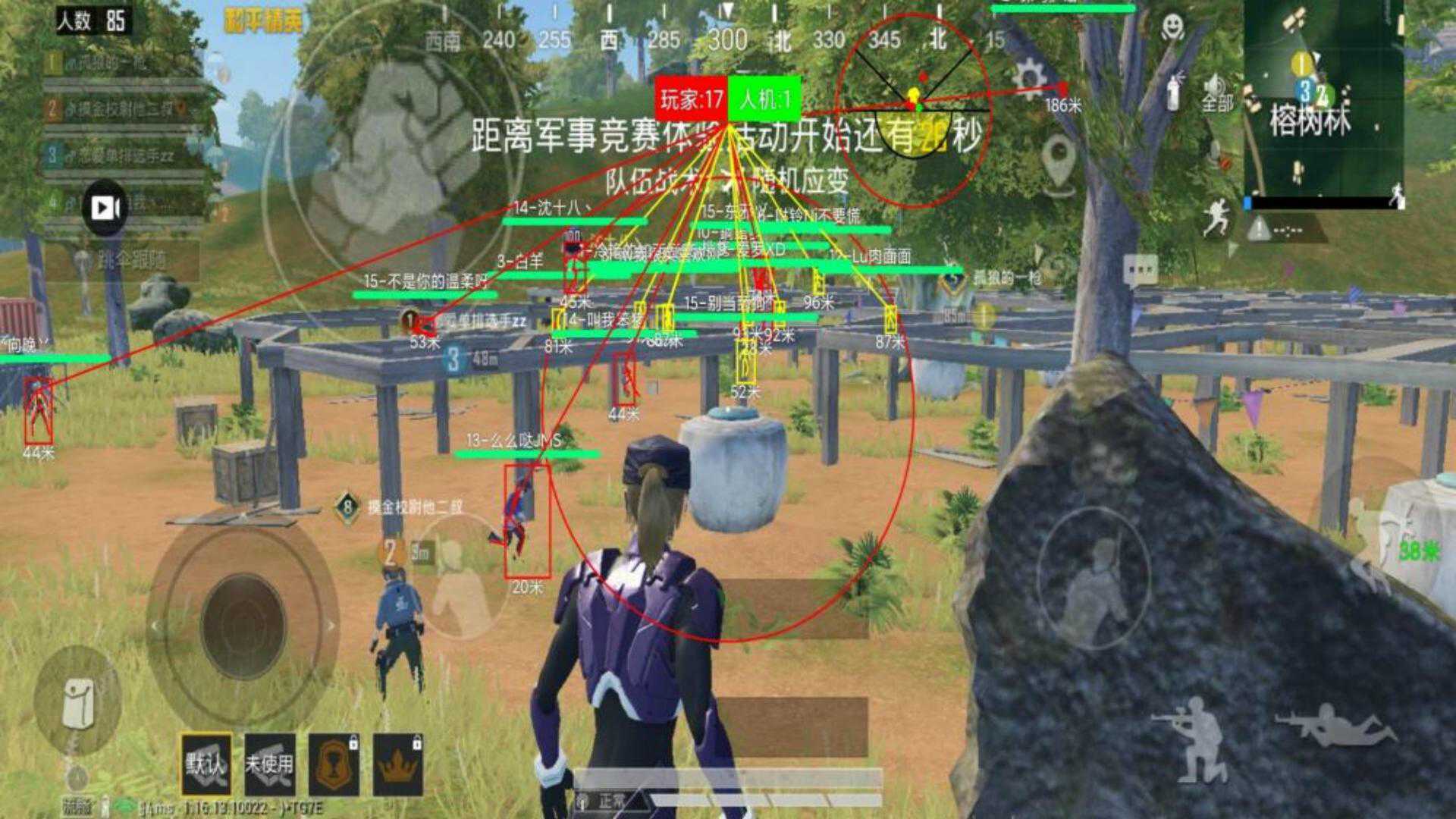 和平精英《敖光》辅助